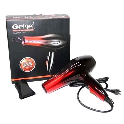 Gemei - Professional Hair Dryer (GM-1719)